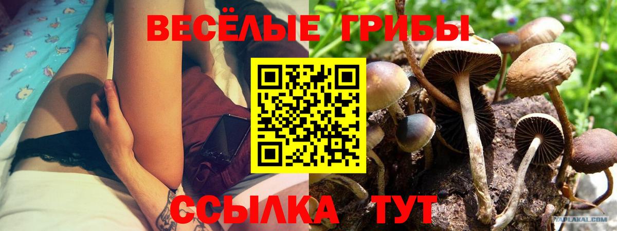 Псилоцибиновые грибы мицелий Майский